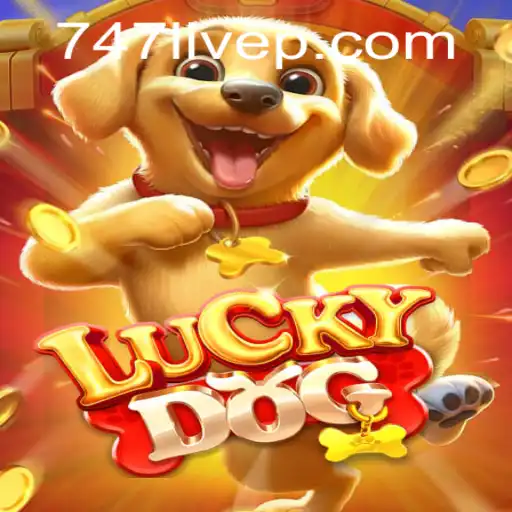 Exploring LuckyDog: A Dynamic Game Experience with 747 Live